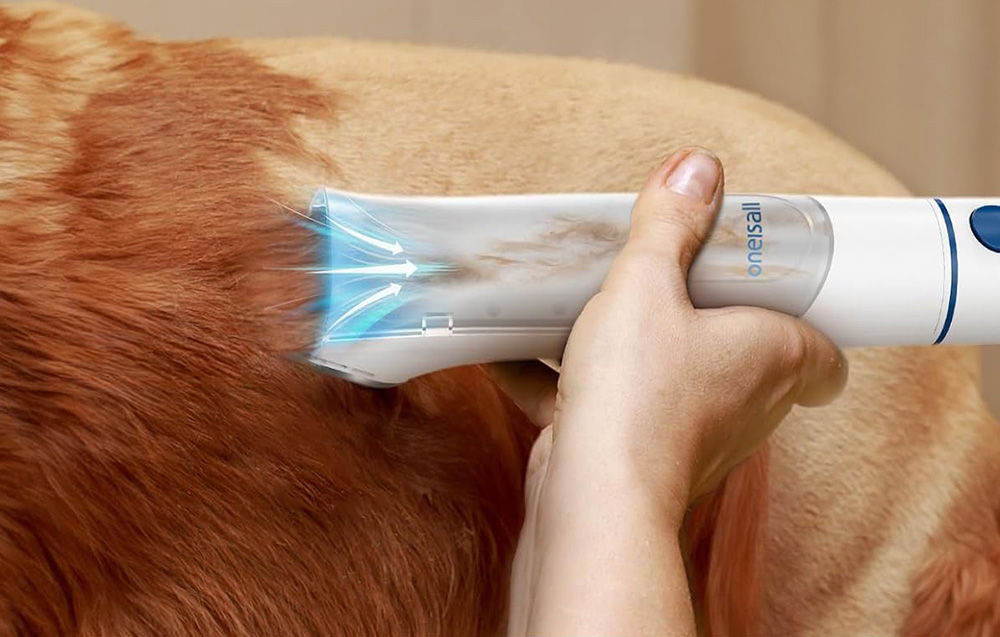 pet-grooming-kit-oneisall-bm1