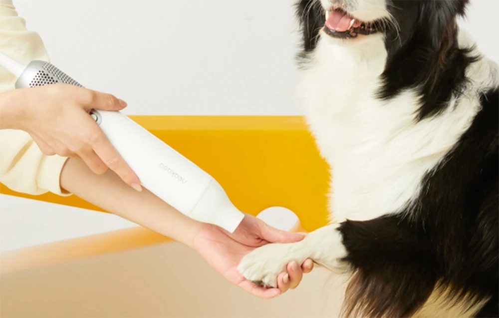 Neakasa - F1 Fast Quiet Pet Plaukų džiovintuvas for Dogs Cats aprašymas - Prekės nuotrauka Neakasa - F1 Fast Quiet Pet Plaukų džiovintuvas for Dogs Cats aprašymas - Prekės nuotrauka
