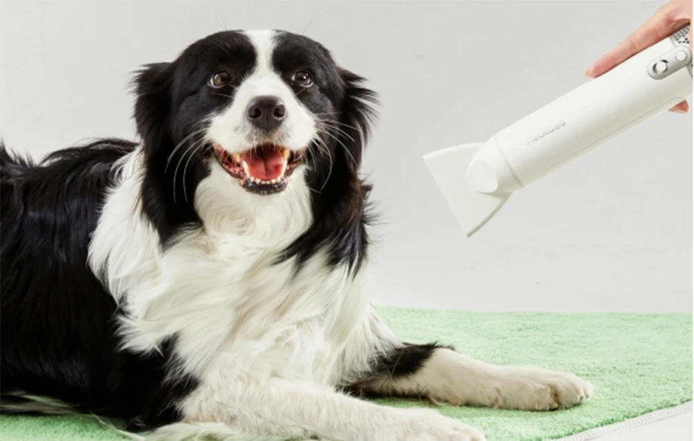 Neakasa - F1 Fast Quiet Pet Plaukų džiovintuvas for Dogs Cats aprašymas - Prekės nuotrauka Neakasa - F1 Fast Quiet Pet Plaukų džiovintuvas for Dogs Cats aprašymas - Prekės nuotrauka