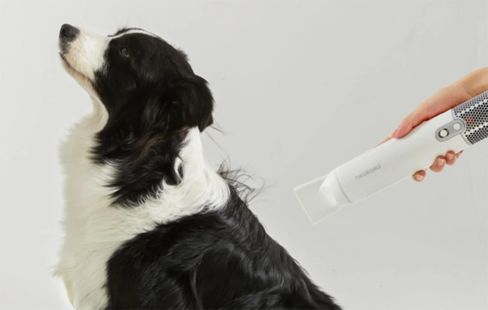 Neakasa - F1 Fast Quiet Pet Plaukų džiovintuvas for Dogs Cats aprašymas - Prekės nuotrauka Neakasa - F1 Fast Quiet Pet Plaukų džiovintuvas for Dogs Cats aprašymas - Prekės nuotrauka
