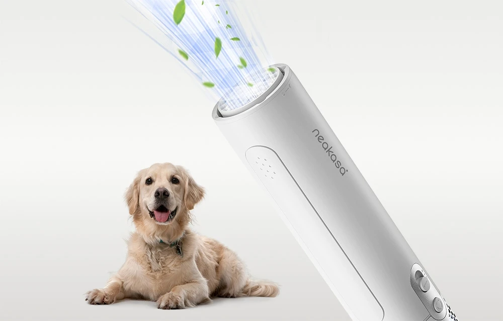 Neakasa - F1 Fast Quiet Pet Plaukų džiovintuvas for Dogs Cats aprašymas - Prekės nuotrauka Neakasa - F1 Fast Quiet Pet Plaukų džiovintuvas for Dogs Cats aprašymas - Prekės nuotrauka
