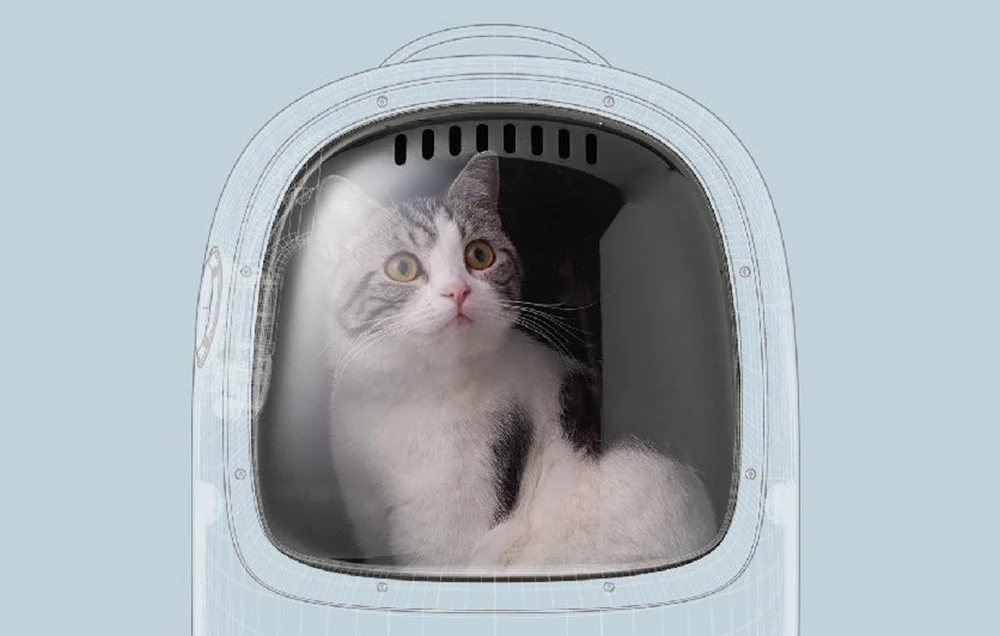 PETKIT | Pet Carrier | Breezy2 | Žalias aprašymas - Prekės nuotrauka PETKIT | Pet Carrier | Breezy2 | Žalias aprašymas - Prekės nuotrauka
