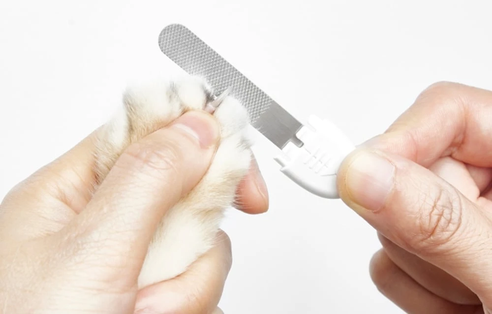 PETKIT | LED nagų kirpimo mašinėlė PRO | Baltas aprašymas - Prekės nuotrauka