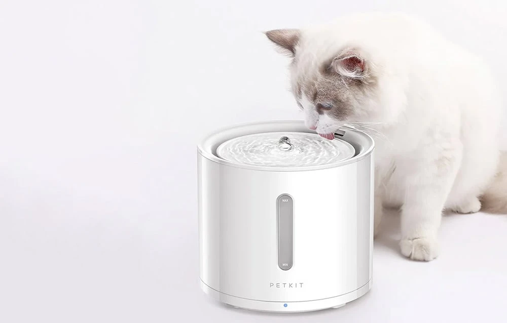 Gertuvė - fontanėlis PETKIT Eversweet Solo 2, 2 L aprašymas - Prekės nuotrauka