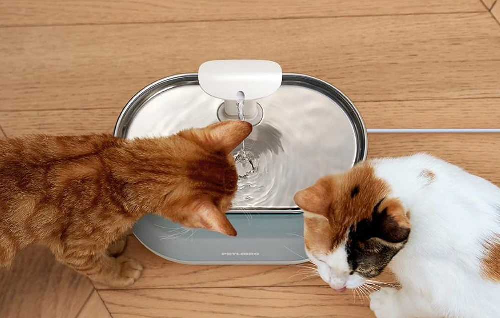 Petlibro Capsule Smart Pet Vanduo Fountain aprašymas - Prekės nuotrauka