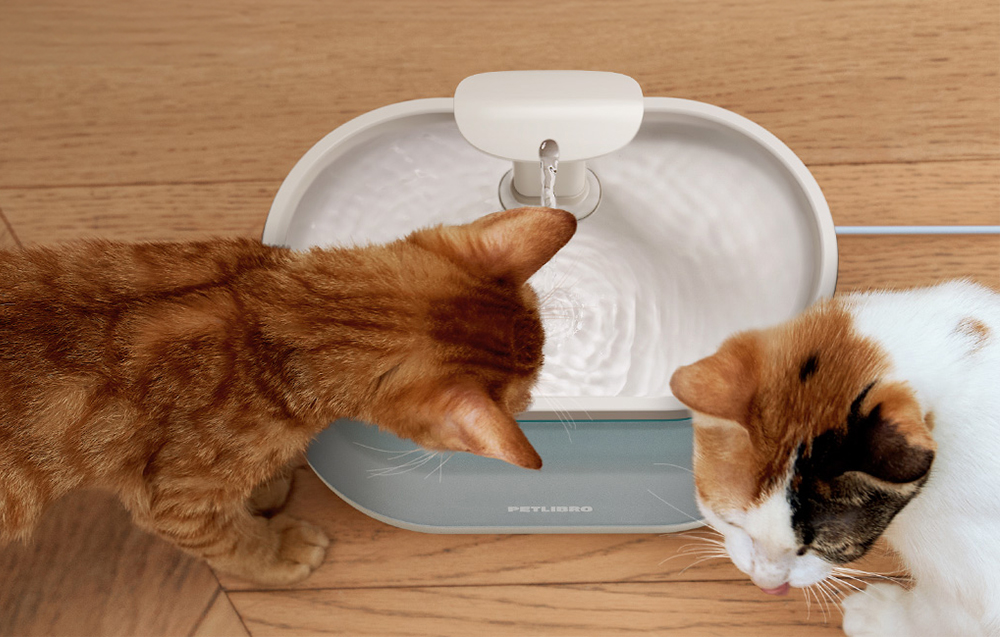 Petlibro Capsule Smart Vanduo Fountain for Pets aprašymas - Prekės nuotrauka