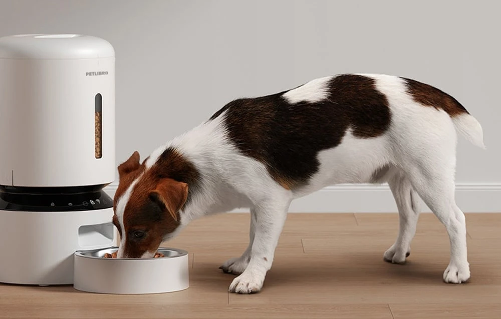Petlibro Granary WiFi pašarų dozatorius, 5L (baltas) aprašymas - Prekės nuotrauka Petlibro Granary WiFi pašarų dozatorius, 5L (baltas) aprašymas - Prekės nuotrauka