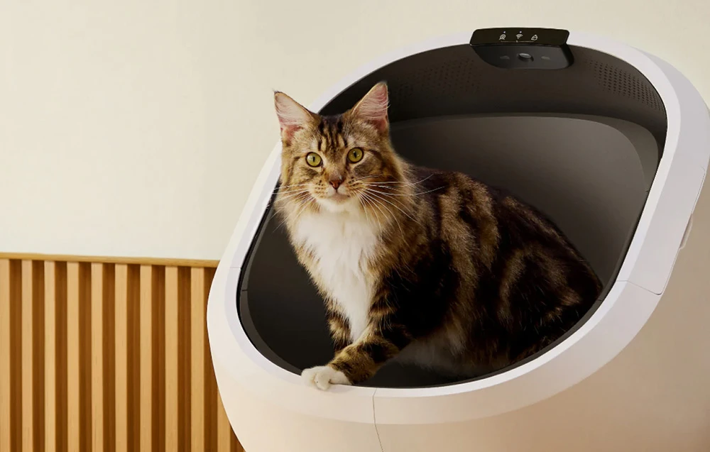 Petlibro Luma Automatic Self-Cleaning Litter Box aprašymas - Prekės nuotrauka