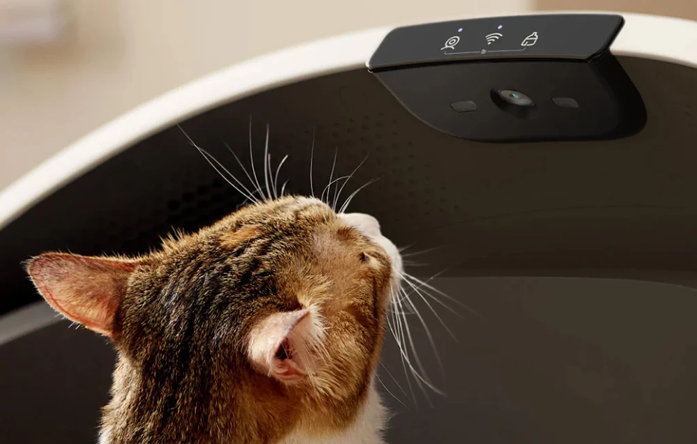 Petlibro Luma Automatic Self-Cleaning Litter Box aprašymas - Prekės nuotrauka