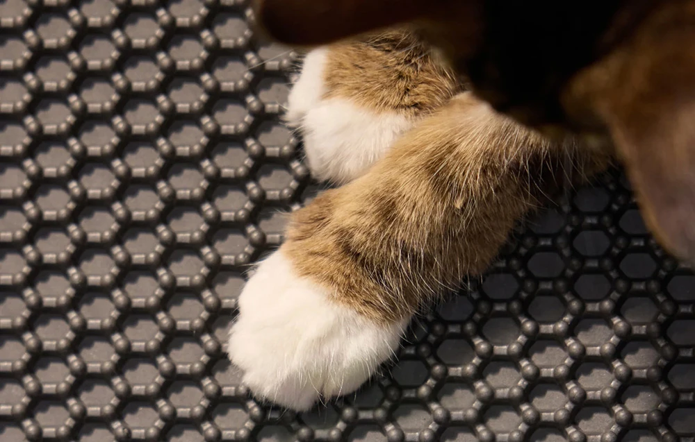 Petlibro Luma Litter Box Mat aprašymas - Prekės nuotrauka