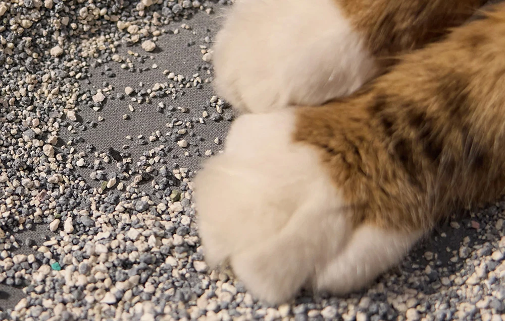 Petlibro Luma Litter Box Mat (Juodas) aprašymas - Prekės nuotrauka