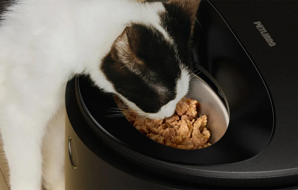 Petlibro Polar Smart Pet Food Dispenser aprašymas - Prekės nuotrauka
