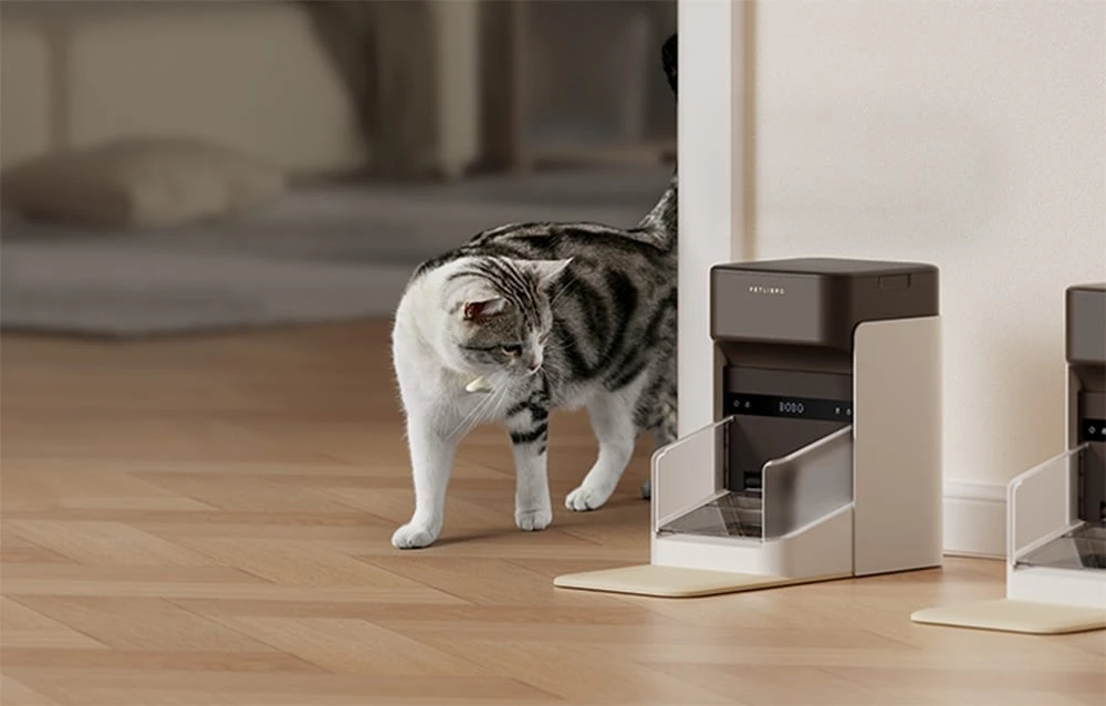 „Petlibro“ RFID išmanusis maisto dozatorius su apykakle, 3 l aprašymas - Prekės nuotrauka „Petlibro“ RFID išmanusis maisto dozatorius su apykakle, 3 l aprašymas - Prekės nuotrauka