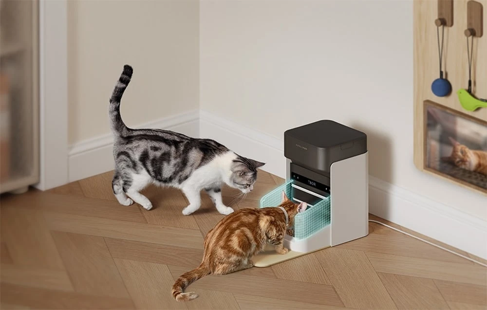 „Petlibro“ RFID išmanusis maisto dozatorius su apykakle, 3 l aprašymas - Prekės nuotrauka „Petlibro“ RFID išmanusis maisto dozatorius su apykakle, 3 l aprašymas - Prekės nuotrauka