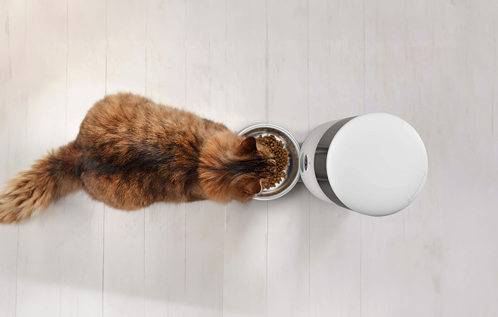 petoneer-nutrivue-smart-food-dispenser-with