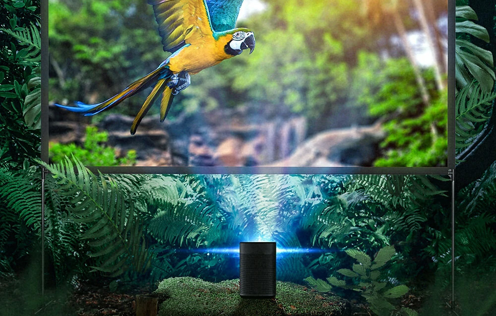 Projektorius Nešiojamas projekcinis ekranas BlitzWolf BW-VS6 120" aprašymas - Prekės nuotrauka