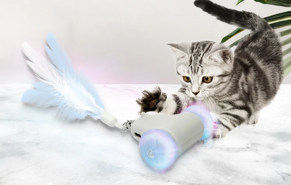 Cat Toy Racing Chase Petwant MDE2800 aprašymas - Prekės nuotrauka