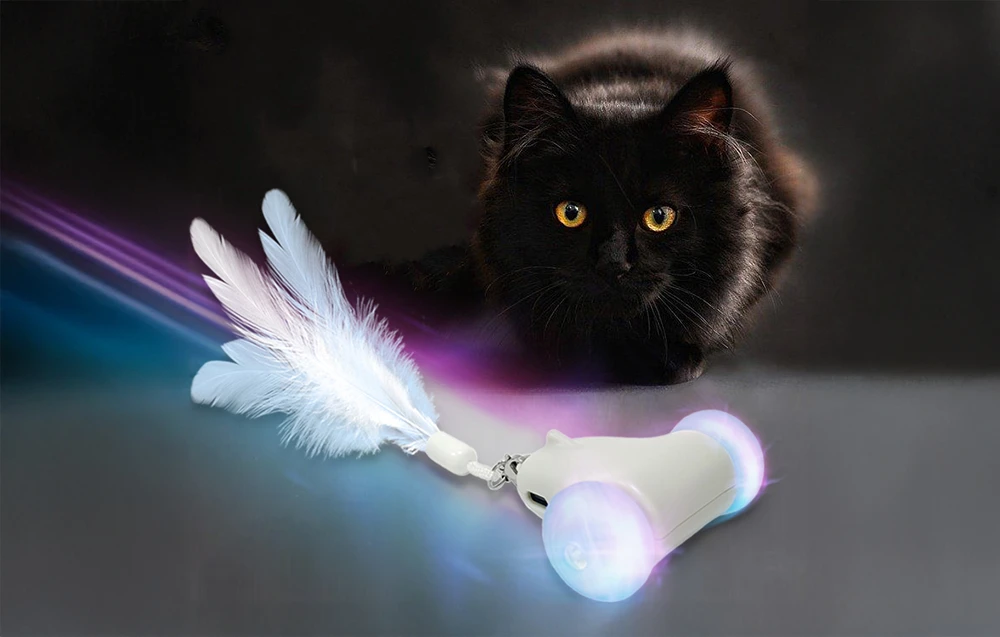 Cat Toy Racing Chase Petwant MDE2800 aprašymas - Prekės nuotrauka