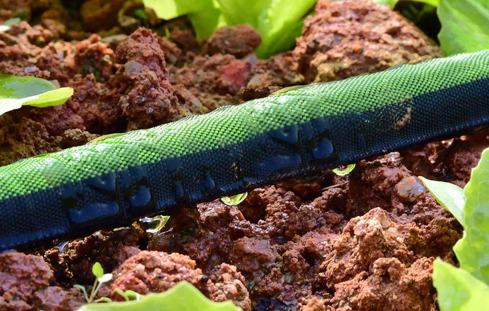 RainPoint 50-Foot Drip Irrigation Hose aprašymas - Prekės nuotrauka