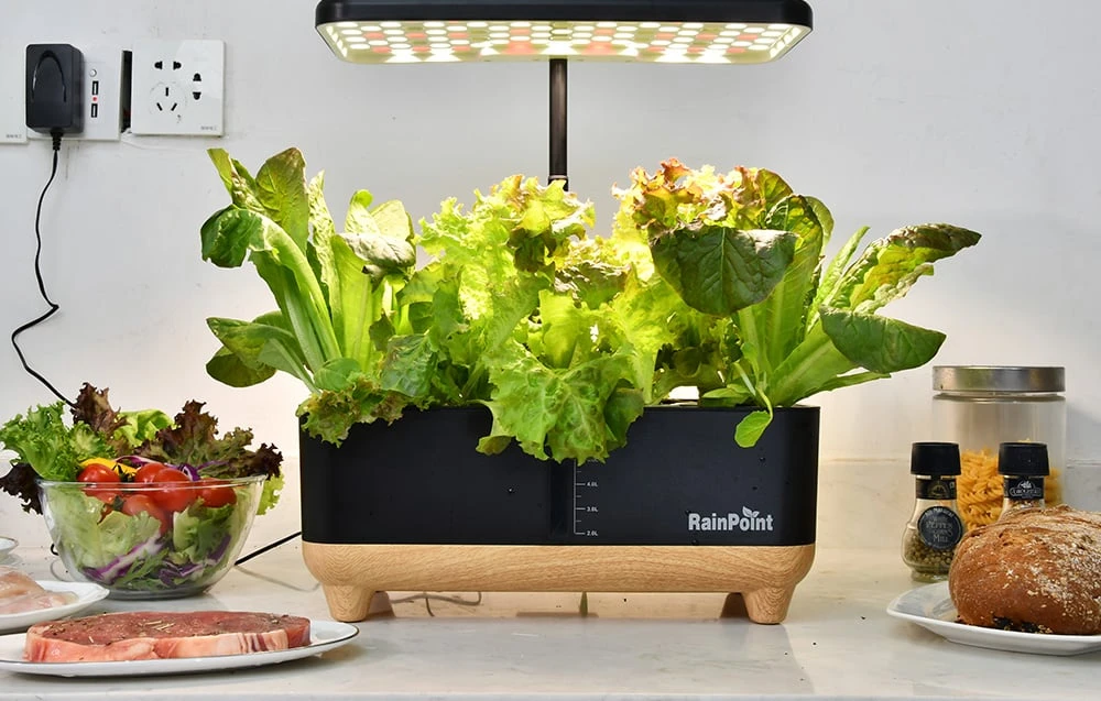 RainPoint Hydroponic Growing Kit aprašymas - Prekės nuotrauka