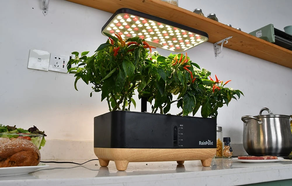 RainPoint Hydroponic Growing Kit aprašymas - Prekės nuotrauka