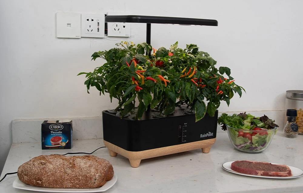RainPoint Hydroponic Growing Kit aprašymas - Prekės nuotrauka