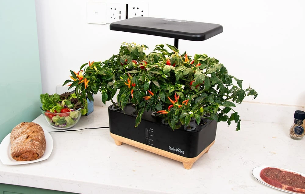 RainPoint Hydroponic Growing Kit aprašymas - Prekės nuotrauka