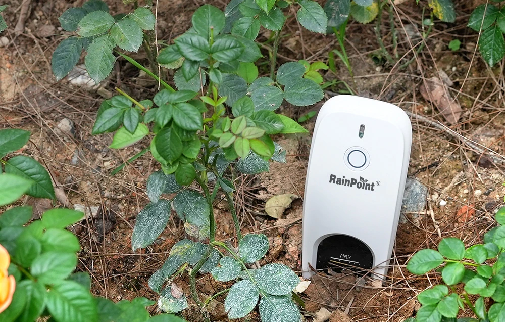 RainPoint Outdoor Soil Moisture Sensor aprašymas - Prekės nuotrauka