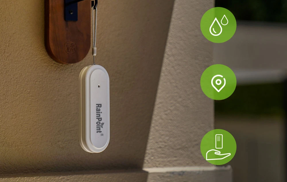 Rainpoint Smart+ Smart Thermohygrometer aprašymas - Prekės nuotrauka