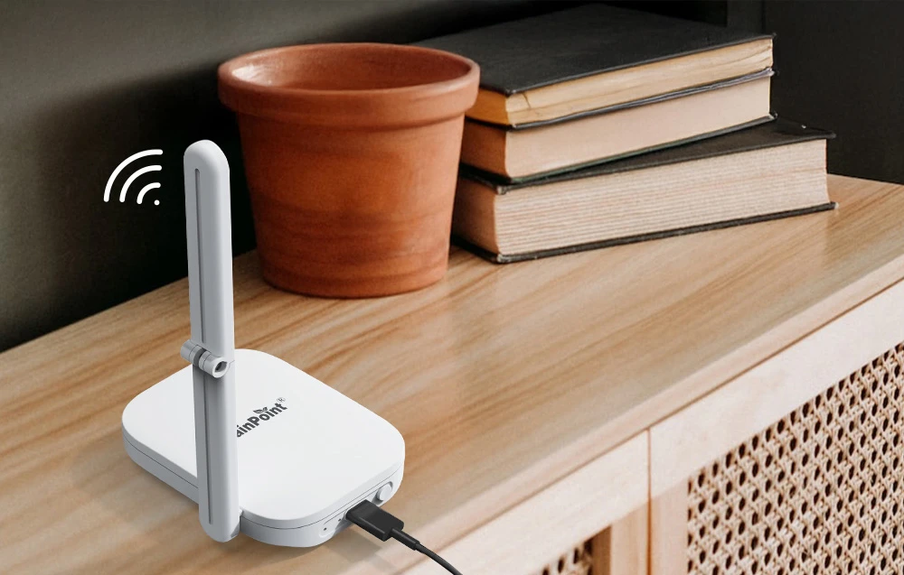 Rainpoint Smart+ Smart Thermohygrometer aprašymas - Prekės nuotrauka
