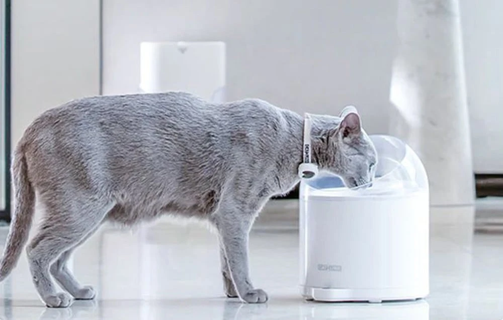 Catlink Pure 2 pakaitiniai filtrai (2 vnt) aprašymas - Prekės nuotrauka Catlink Pure 2 pakaitiniai filtrai (2 vnt) aprašymas - Prekės nuotrauka