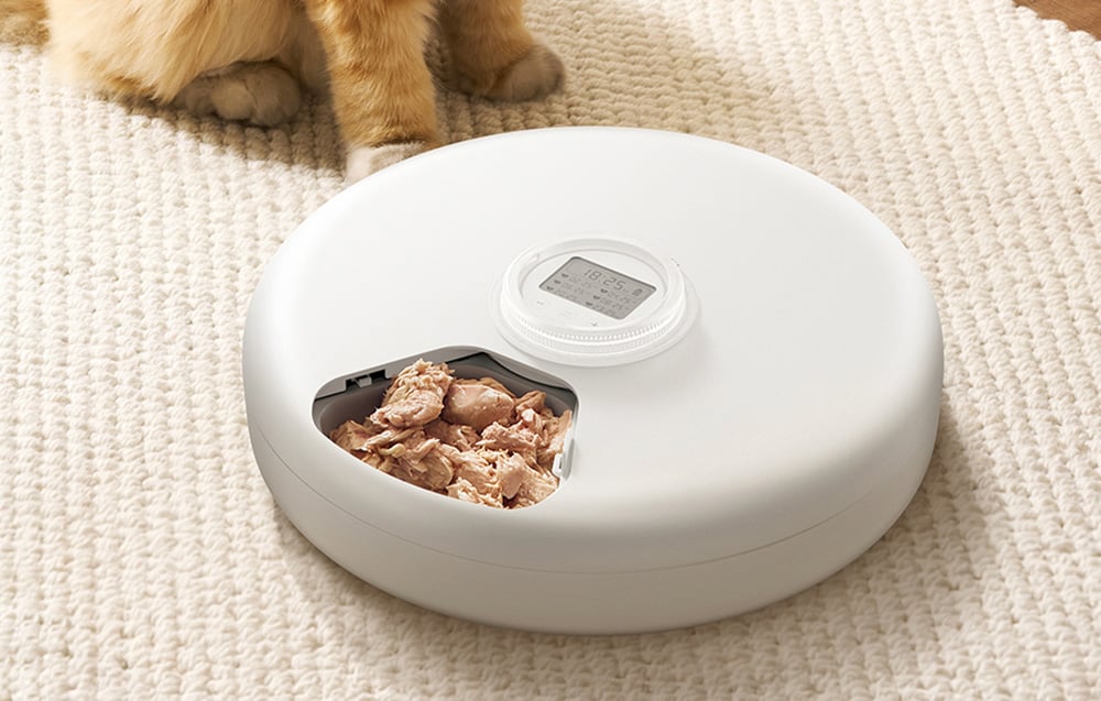 rojeco-2l-automatic-cat-feeder-button-version