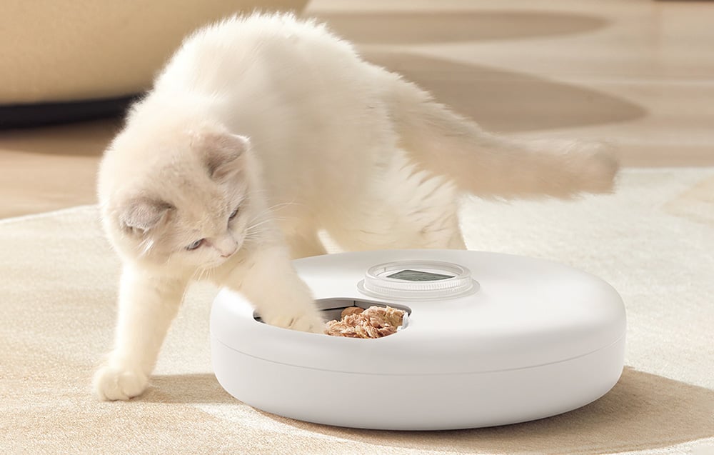 rojeco-2l-automatic-cat-feeder-button-version