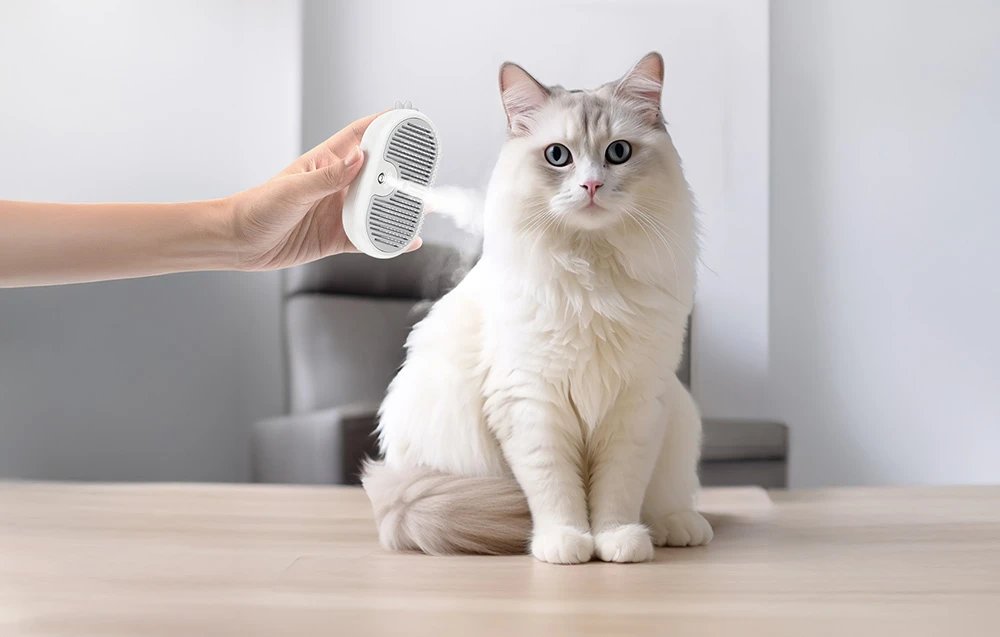 Rojeco Cat garų šepetys su masažo funkcija (baltas) aprašymas - Prekės nuotrauka