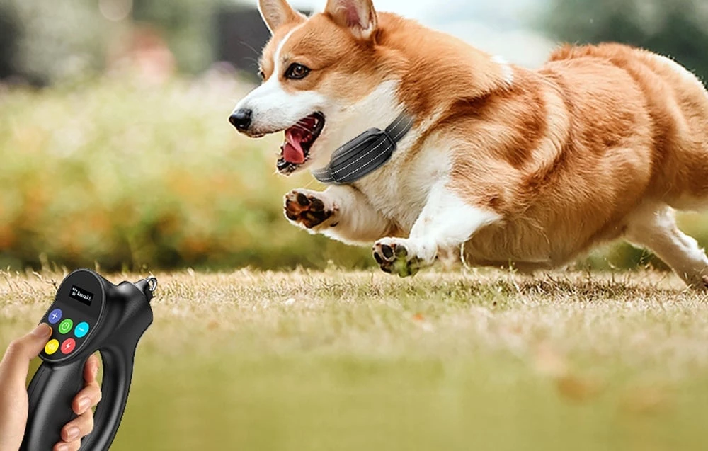 Rojeco PD800 electric bark collar (Juodas) aprašymas - Prekės nuotrauka Rojeco PD800 electric bark collar (Juodas) aprašymas - Prekės nuotrauka