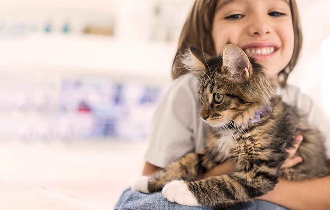 Išmanus oro valytuvas Petoneer Smart Odor Eliminator aprašymas - Prekės nuotrauka Išmanus oro valytuvas Petoneer Smart Odor Eliminator aprašymas - Prekės nuotrauka