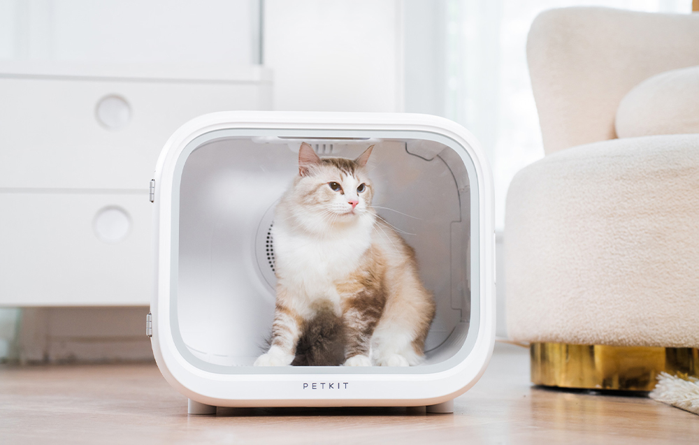 PetKit išmanioji naminių gyvūnėlių džiovykla aprašymas - Prekės nuotrauka