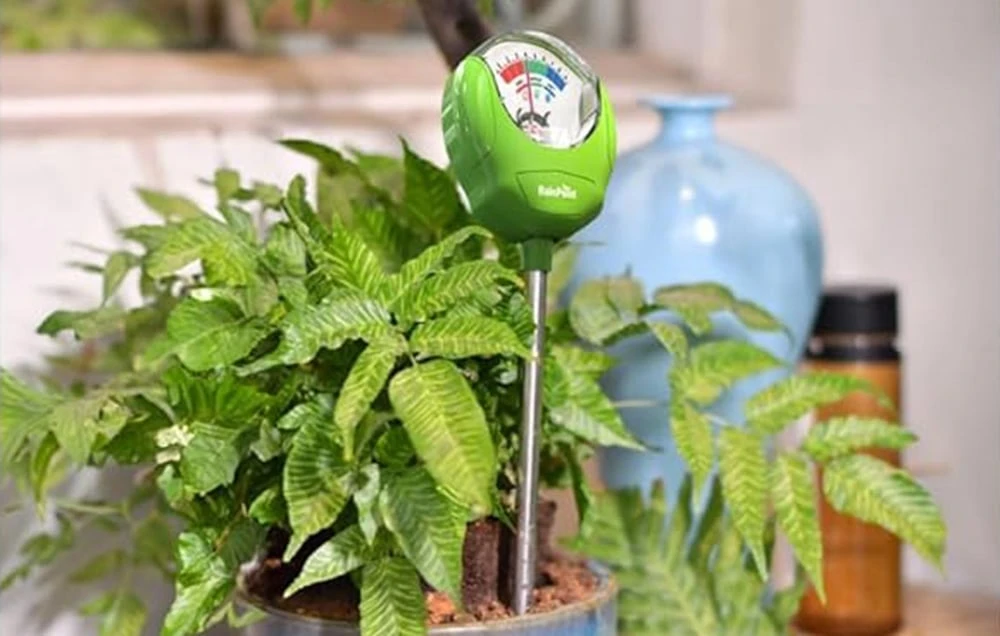Soil Moisture Tester RainPoint aprašymas - Prekės nuotrauka Soil Moisture Tester RainPoint aprašymas - Prekės nuotrauka
