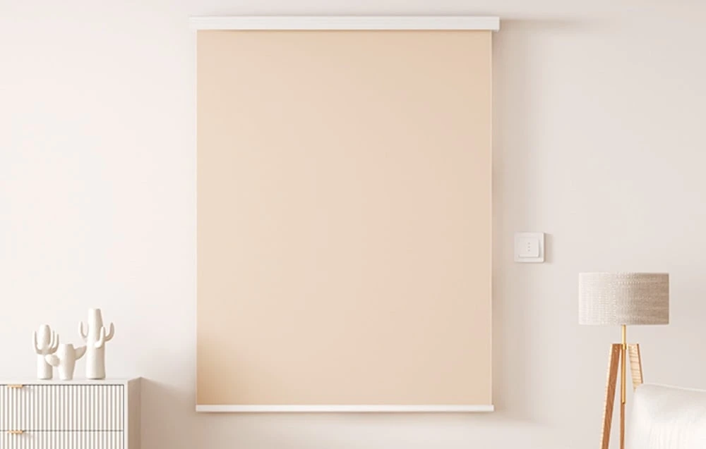 Sonoff MINI-ZBRBS išmanusis „ZigBee“ mini jungiklis aprašymas - Prekės nuotrauka Sonoff MINI-ZBRBS išmanusis „ZigBee“ mini jungiklis aprašymas - Prekės nuotrauka