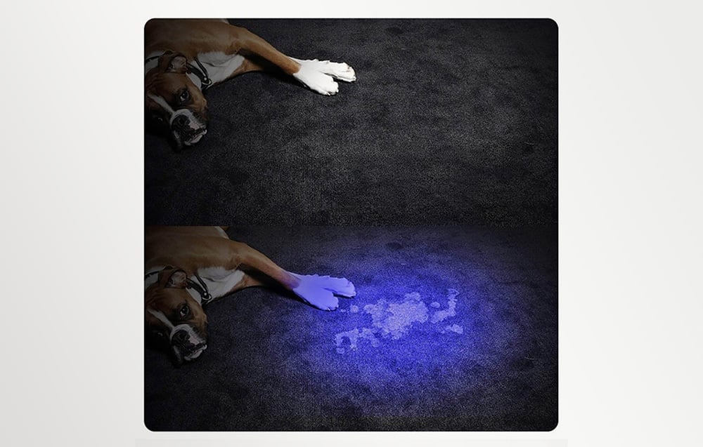 SUPERFIRE S11-H 365nm USB-C UV Flashlight aprašymas - Prekės nuotrauka