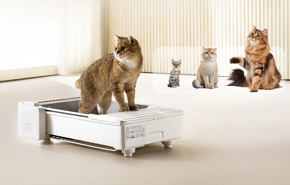 UBPet C31 Smart Self-Cleaning Litter Box aprašymas - Prekės nuotrauka