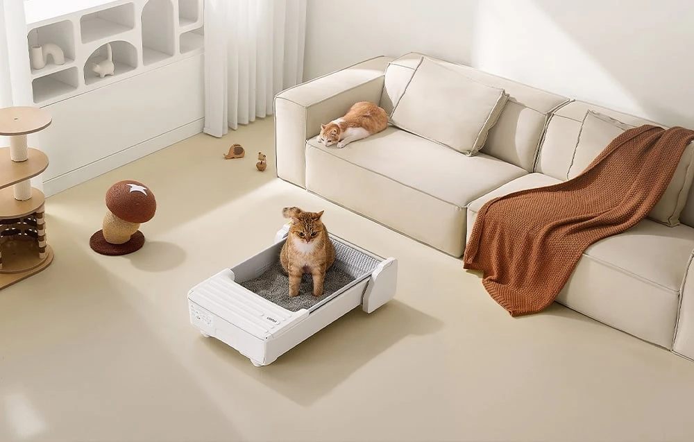 UBPet C31 Smart Self-Cleaning Litter Box aprašymas - Prekės nuotrauka