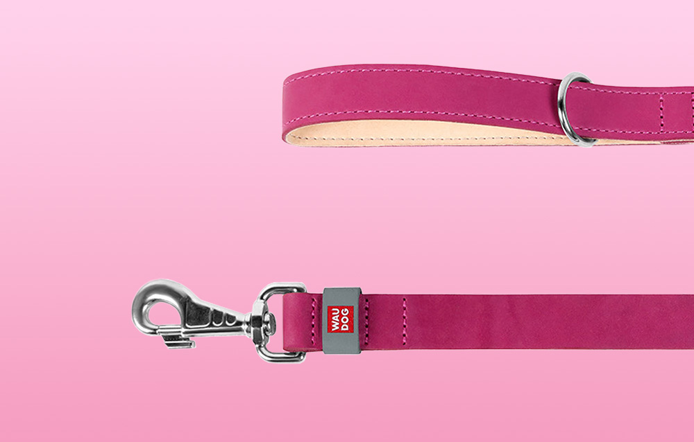 waudog-natural-leather-dog-leash-25-mm-wide