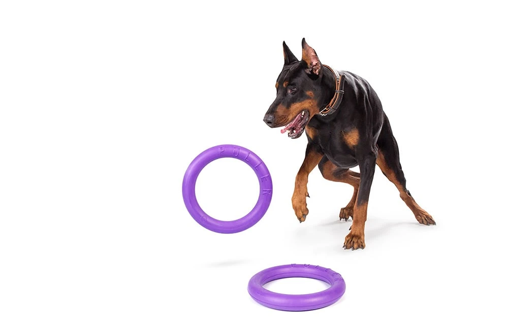 Puller Šuns įrankis traukiklis Standartinis Waudog 28 cm aprašymas - Prekės nuotrauka Puller Šuns įrankis traukiklis Standartinis Waudog 28 cm aprašymas - Prekės nuotrauka