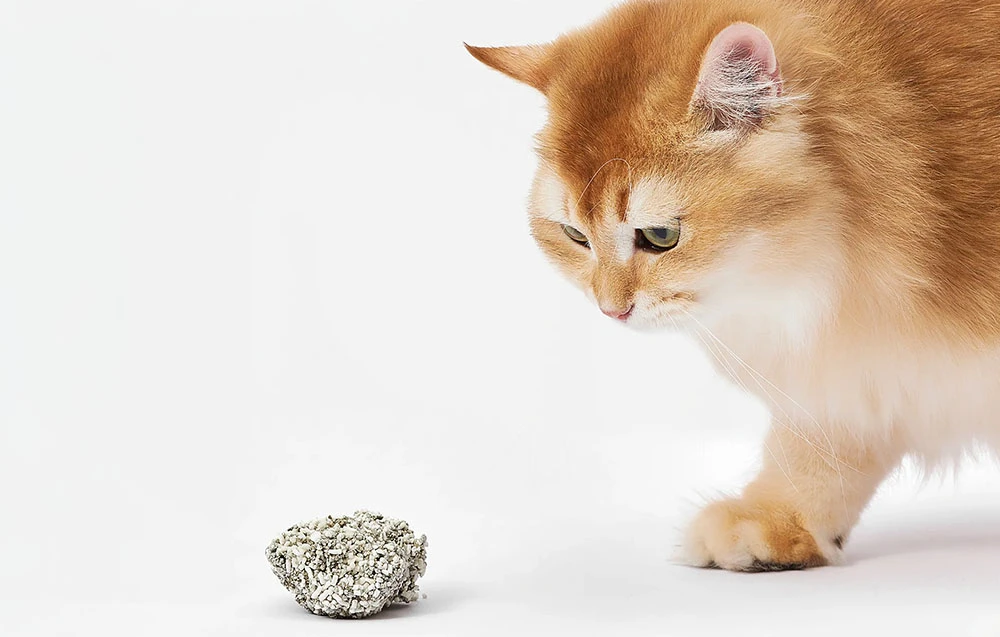 Kraikas katėms Catlink Mixed Litter aprašymas - Prekės nuotrauka