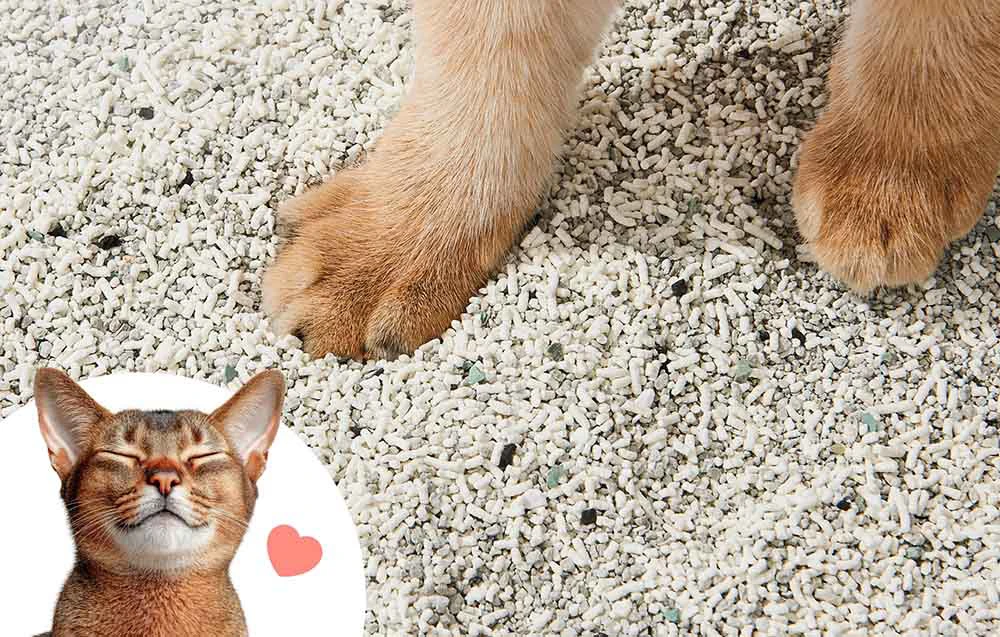 Kraikas katėms Catlink Mixed Litter aprašymas - Prekės nuotrauka