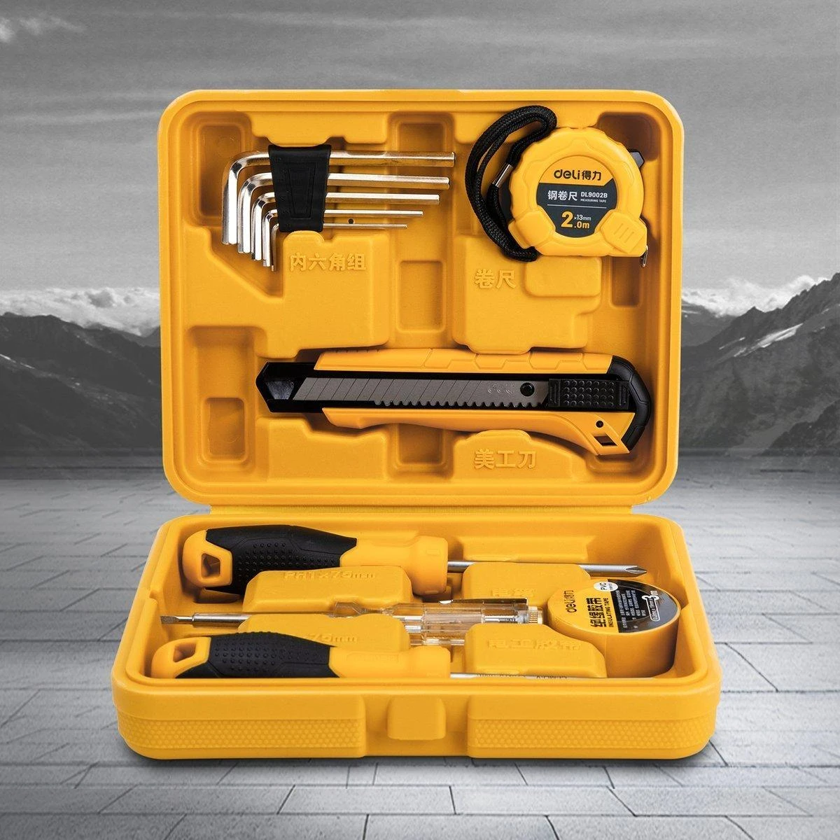 Profesionalus įrankių rinkinys Deli Tools EDL10011J - 11 vnt