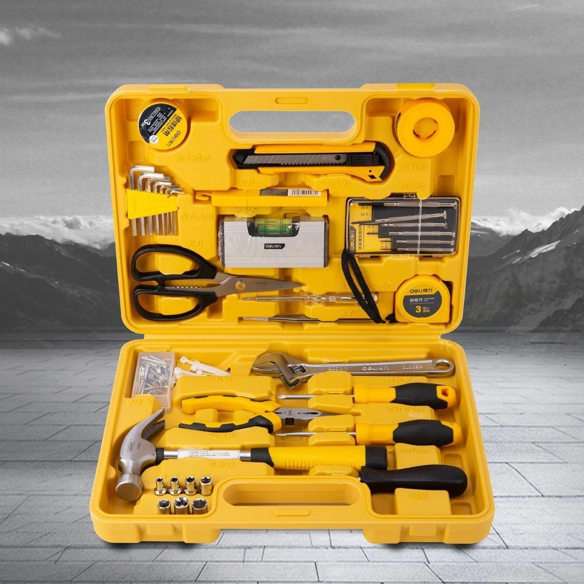 Profesionalus įrankių rinkinys Deli Tools EDL1038J - 38 vnt