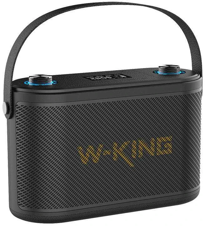 W-KING H10 120W nešiojama kolonėlė