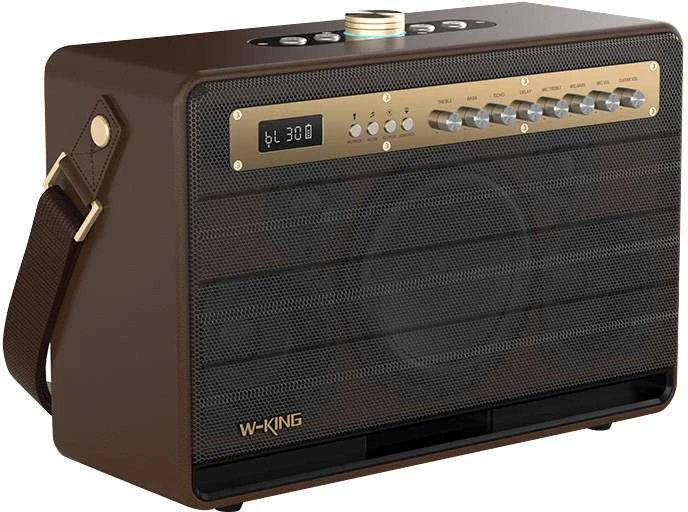 Belaidis Bluetooth garsiakalbis W-KING K6L 120W (rudas)